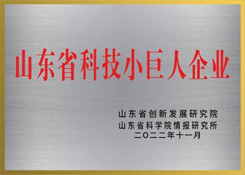 山東省科技小巨人