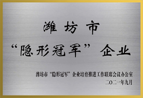 新港電子獲批濰坊市“隱形冠軍”企業(yè)榮譽(yù)